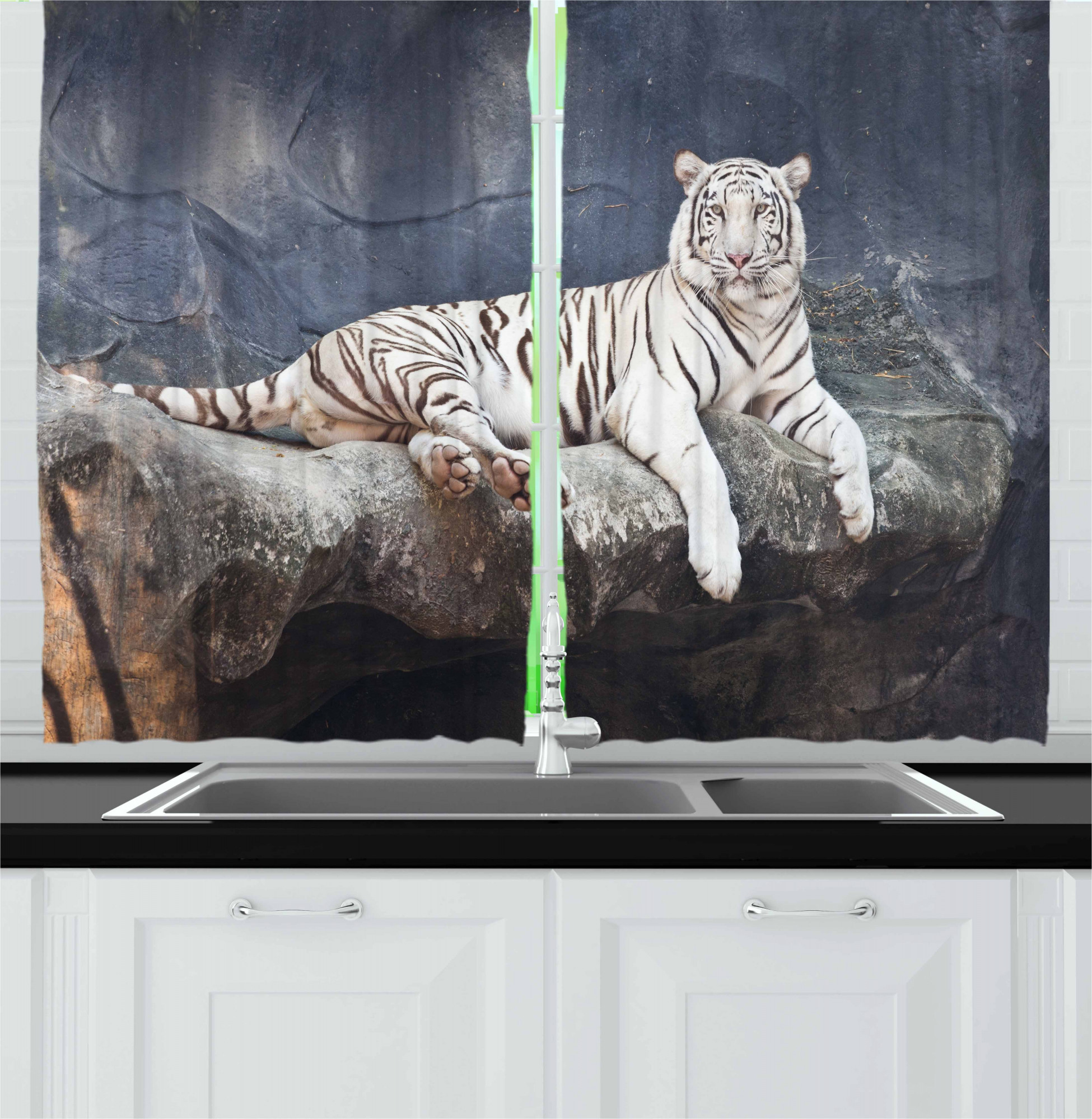 Tiger Kitchen Curtains, Albino Cat Sitting on Rock Sublime Nature