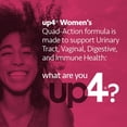 thumbnail image 2 of (Pack Of 2) UP4 Probiotic Women 60 Capsules, 2 of 2