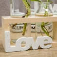 thumbnail image 5 of PANuYIN Plant Terrarium Glass 3 Bottles with Wooden Stand Desktop Planter Vase Decoration - Love Style, 5 of 5