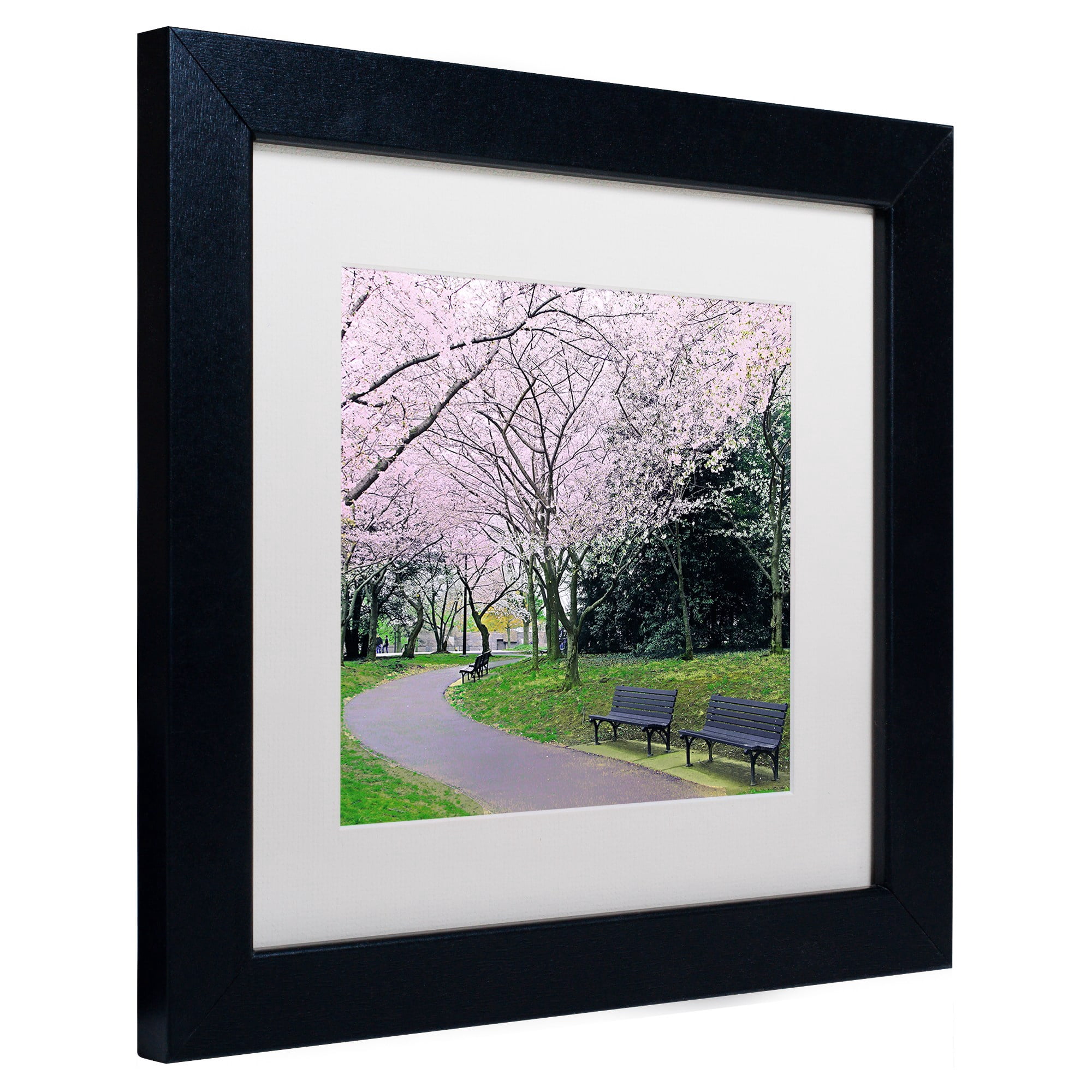 Trademark Fine Art "Spring Path" Canvas Art by CATeyes, White Matte, Black Frame