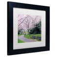 thumbnail image 3 of Trademark Fine Art "Spring Path" Canvas Art by CATeyes, White Matte, Black Frame, 3 of 4