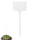 thumbnail image 1 of Etiqueta impermeable en forma de T, etiqueta para plantas, etiqueta gruesa impermeable para flores y plantas, 1 of 6