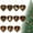 11 PC, variant on 5Pcs Personalized Forest Animal Acorn Ornaments – DIY Woodland Animal Christmas Decorations, Custom Nature-Themed Tree Ornaments, Rustic Acrylic Animal Lovers Gift Set