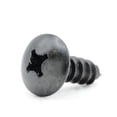 thumbnail image 2 of Stainless Screws for Dodge Challenger License Plates (Set of 4, Black), 2 of 4