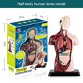 thumbnail image 2 of Human Body Simulation Organ Model Children‘S Toys  Organ Bone Structure  Cognitive Science Education Puzzle  Diy Model Teaching, 2 of 8