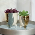 thumbnail image 3 of Flora Bunda CS2831E-GY Succulent in 3.75' 3-TONE FOOTED CERAMIC,GREY, 3 of 3
