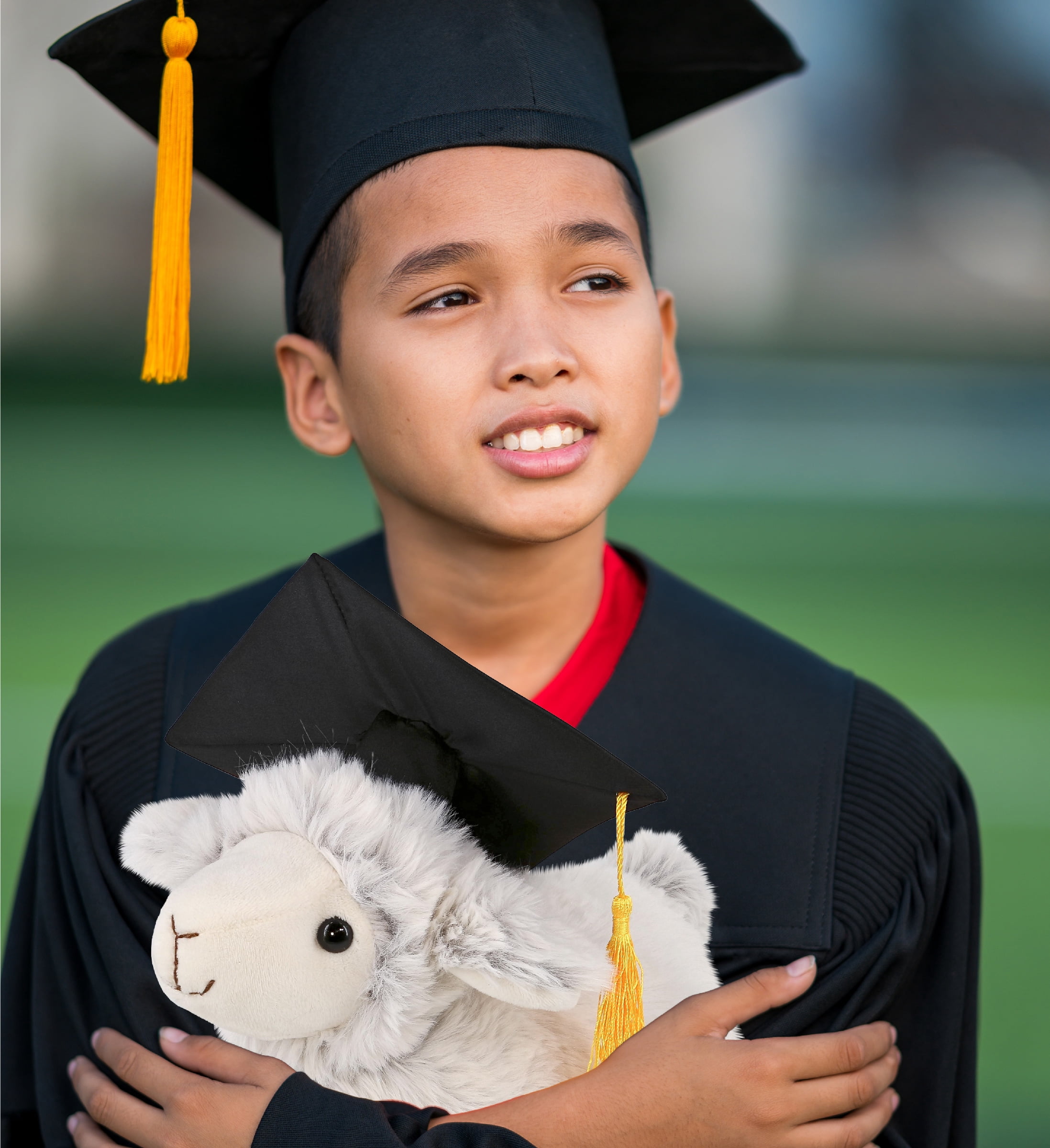 DolliBu Sheep Graduation Plush Toy - Soft Huggable Graduation Stuffed Animal Dress Up with Graduation Cap with Tassel Outfit - Cute Congratulatory Graduation Gift - 11.5 Inches