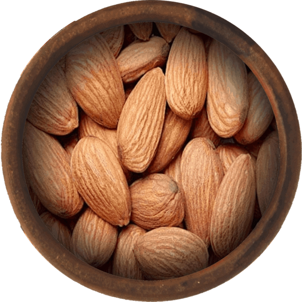 Bulk Raw Almonds 25 Pound Wholesale Box