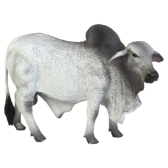 CollectA 88579 Grey Polled Brahman Bull, 5.3"L x 3.3"H , Gray