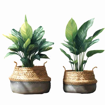 Green Pot Vinyl Wall Sticker | Botanical Peel & Stick Wall Décor | Removable Plant Mural for Bedroom, Living Room & Study | Size 91 cm by 45 cm