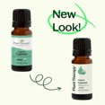 thumbnail image 6 of Plant Therapy Organic Cypress Essential Oil 30 mL (1 oz) 100% Pure, Undiluted, Therapeutic Grade, 6 of 9
