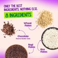 thumbnail image 3 of Alpino High Protein Rolled Oats | 400 gm | Chocolate | Old-Fashioned Oatmeal | Shelf Stable | Resealable Pouch, 3 of 9