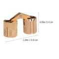 thumbnail image 2 of BRIGHTFUFU 2pcs Copper Hinge for Self Closing Function on Heavy Duty Cabinet, 2 of 6