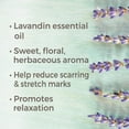 thumbnail image 4 of Plant Therapy Aromatherapy 100mL Essential Oil, 3.3 Oz, Lavandin (2 Pack), 4 of 8