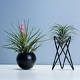 thumbnail image 5 of 2 PCS Black Metal Vase Home Gardening Tripod Stand, 5 of 8
