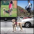 thumbnail image 5 of JSXD - Arnés para perro, sin tirar, con asa ajustable, chaleco para mascotas, chaleco de nailon reflectante 3M para razas, fácil control para perros pequeños, medianos y grandes, Rojo, S, 5 of 5