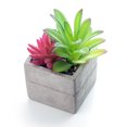 thumbnail image 1 of LIVINGbasics Decorative Plastic Artificial Plants,Succulent Greenery Bonsai Plants, 1 of 2