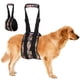 thumbnail image 1 of Arnés de levantamiento de perros LovinPet ajustable para patas traseras débiles, 1 of 9