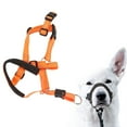 thumbnail image 4 of Harnais de Tête de Chien, Collier de Tête de Chien Humanisé Conception Soulagement de la Pression Réglable Sangle pour le Camping Orange, Bleu, Rouge, 4 of 8