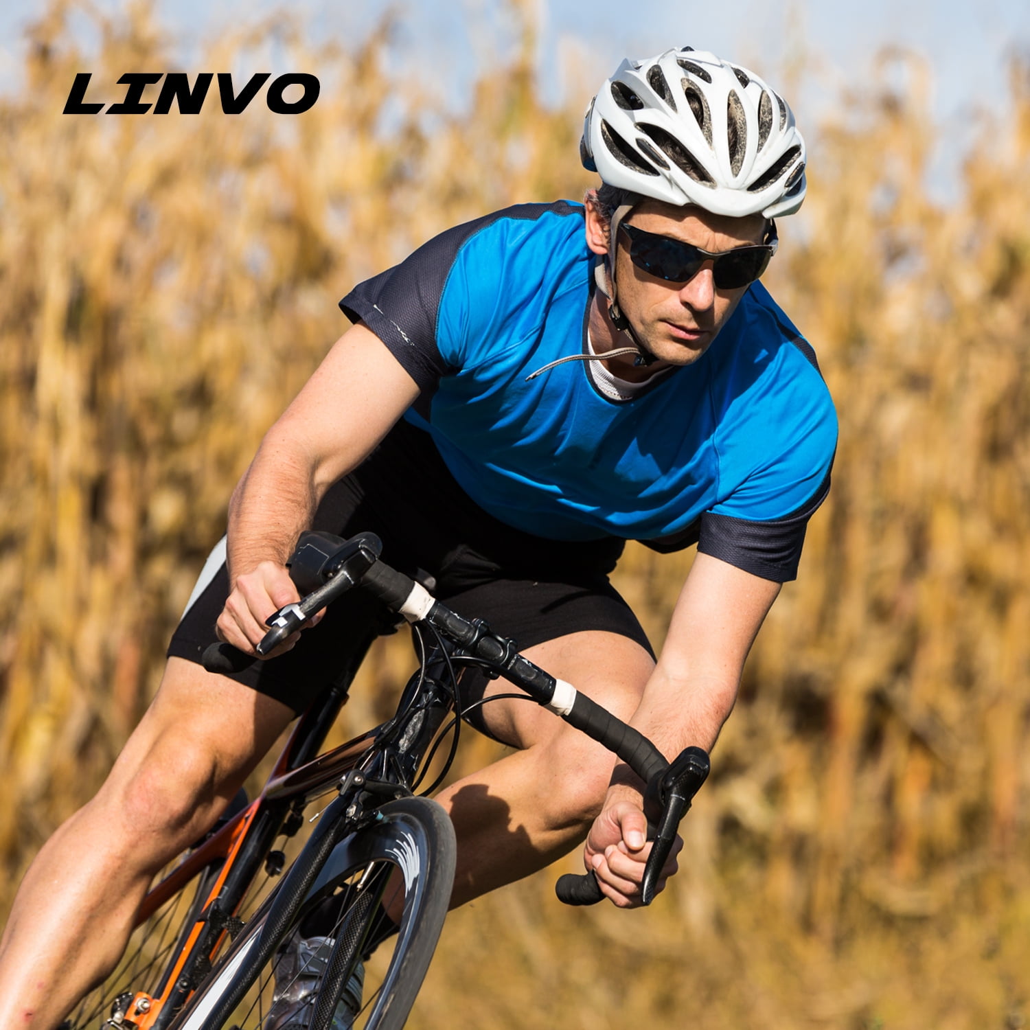 LINVO Polarized Sports Sunglasses for Men Ultralight Al-Mg Metal Frame for Driving Golfing Fishing Cycling UV Protection