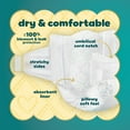 thumbnail image 5 of Pampers Swaddlers Diapers Size Preemie, 27 Count (Select for More Options), 5 of 12