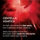 thumbnail image 4 of Crema hidratante L'Oreal Paris Revitalift Cicacream 50 ml antienvejecimiento, 4 of 7