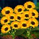 thumbnail image 2 of Solar LED Sunflower Garden Lights 27.56in, 2 of 6
