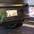 thumbnail image 6 of License Plate, Cats among Potted Plants Decorative Front,Personalized Stainless Steel License Plate Cover For Men Women,12.2" X 6.2", 6 of 6