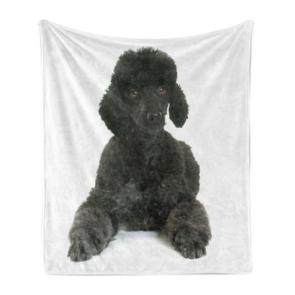 Poodle Soft Flannel Fleece Throw Blanket, Fluffy on a Plain Background Animal Lover's Theme Purebred, Cozy Plush for Indoor and Outdoor Use, 50" x 70", Dark Grey White, by Ambesonne