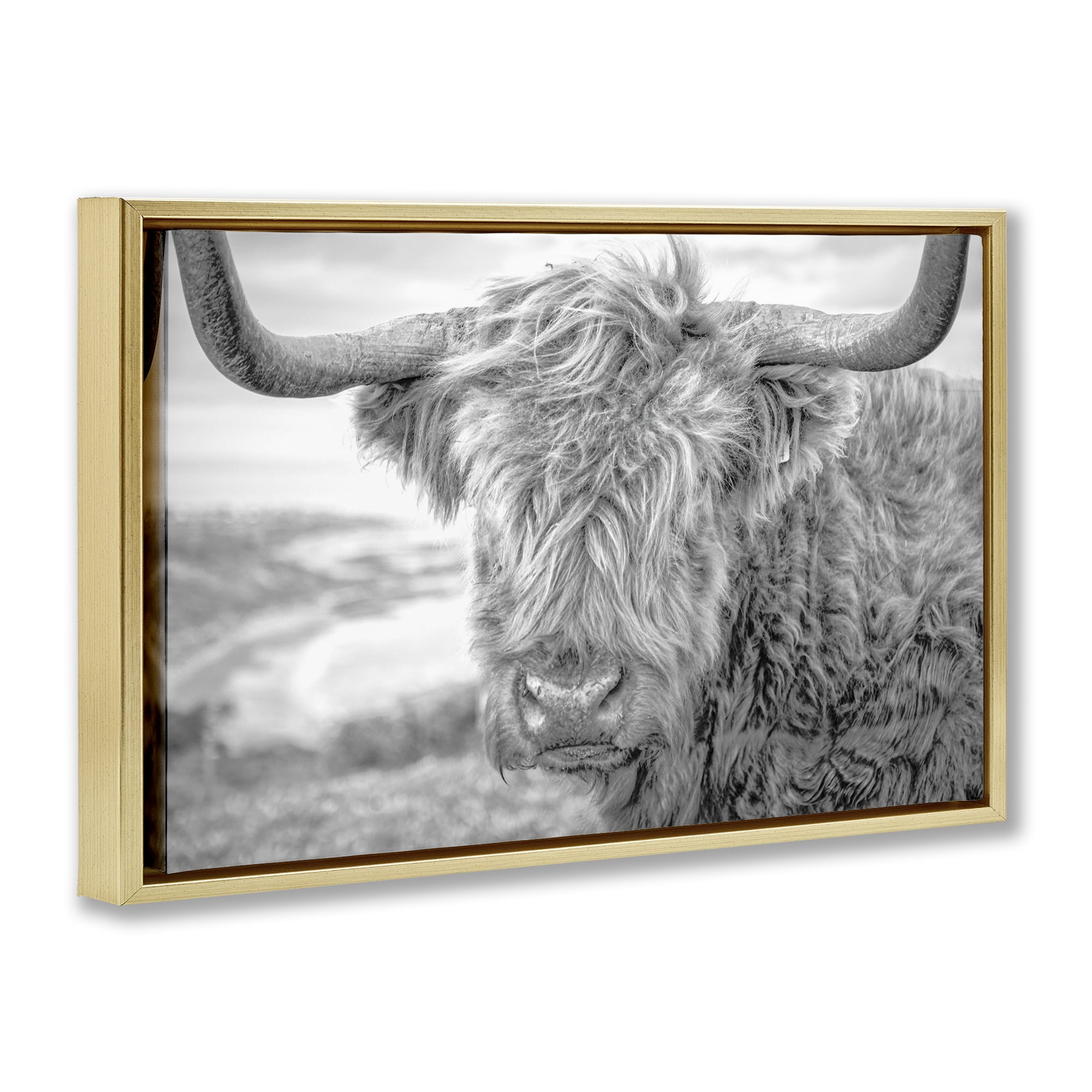 Stupell Industries Close Up Fuzzy Cattle Animals & Insects Photography Gold Floater Framed Canvas Art Print Wall Art, 31 x 21