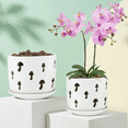 thumbnail image 2 of (2 pcak)BUYMAX 5+6 inch white ceramic orchid pot with holes, Decorative mushroom flower pots with Saucers, 2 of 7