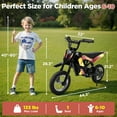 thumbnail image 3 of Hijoke 36V Kids Electric Dirt Bike, 315W Battery Powered Ride on Motorcycle Toy for Kids Above 6, 3 Speed up to 15.5 MPH, 10-mile Range, 133lbs Max Load, Twist Grip Throttle, Red & Gold, 3 of 9