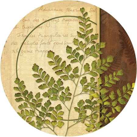 Thirstystone Occasions Drink Coasters, Ferns I