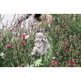 thumbnail image 5 of Decorative Angel Garden Stakes Miniature Angel Fairy Garden Angel Small Memorial Statue$$Garden & Patio, 5 of 9