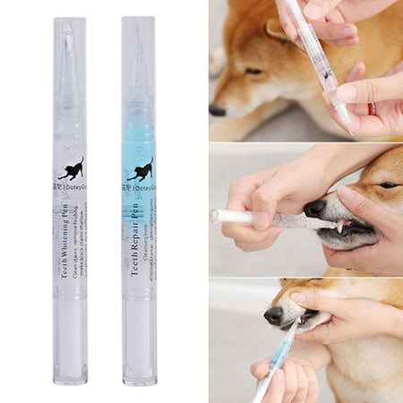 Pet Teeth Cleaning Kit Pet Beauty Toothbrush Dog Cat Tartar Dental Stone Cleaning Pen 5ml 2 Pieces Box Walmart Canada