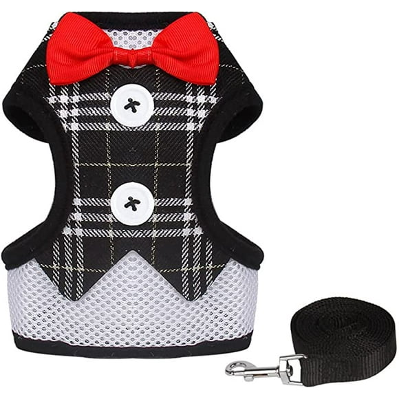 Soft Mesh No Pull Dog Harness with Leash, Cute Adjustable Black Vest Harness for Cat Puppy Small Breed Pets（S Size）