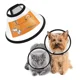 thumbnail image 1 of Collar Isabelino Para Perros Y Gatos En Varios Tamaños, 1 of 8