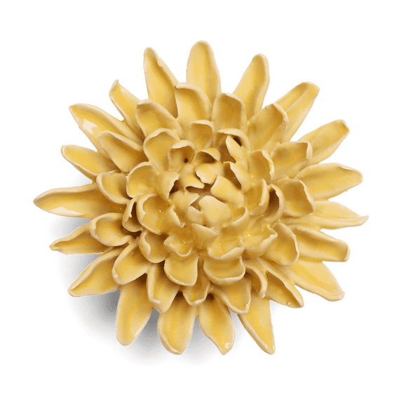 chive Mum Yellow Coral Flower