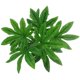 thumbnail image 5 of Hojas de helecho artificiales Rama Arbusto Simulación Flor Mesa 1, 5 of 9