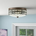 thumbnail image 2 of Aiwen Unique Glass Shade Caged Flush Mount Ceiling Lamp Industrial Light Fixture, 2 of 10