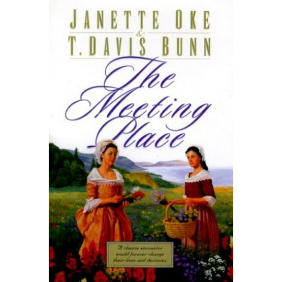 Pre-Owned The Meeting Place (Thorndike Large Print Inspirational Series) Paperback