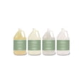 thumbnail image 2 of Terra Pure 1-Gallon Bottle Conditioner - Green Tea and Lemongrass Scent, 2 of 4