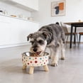thumbnail image 6 of Dog Bowl Elevated with Stainless Steel Insert and Wooden Base – Raised Modern Pet Food Dish for Cats, Small and Medium Dogs (Multicolor), 6 of 6