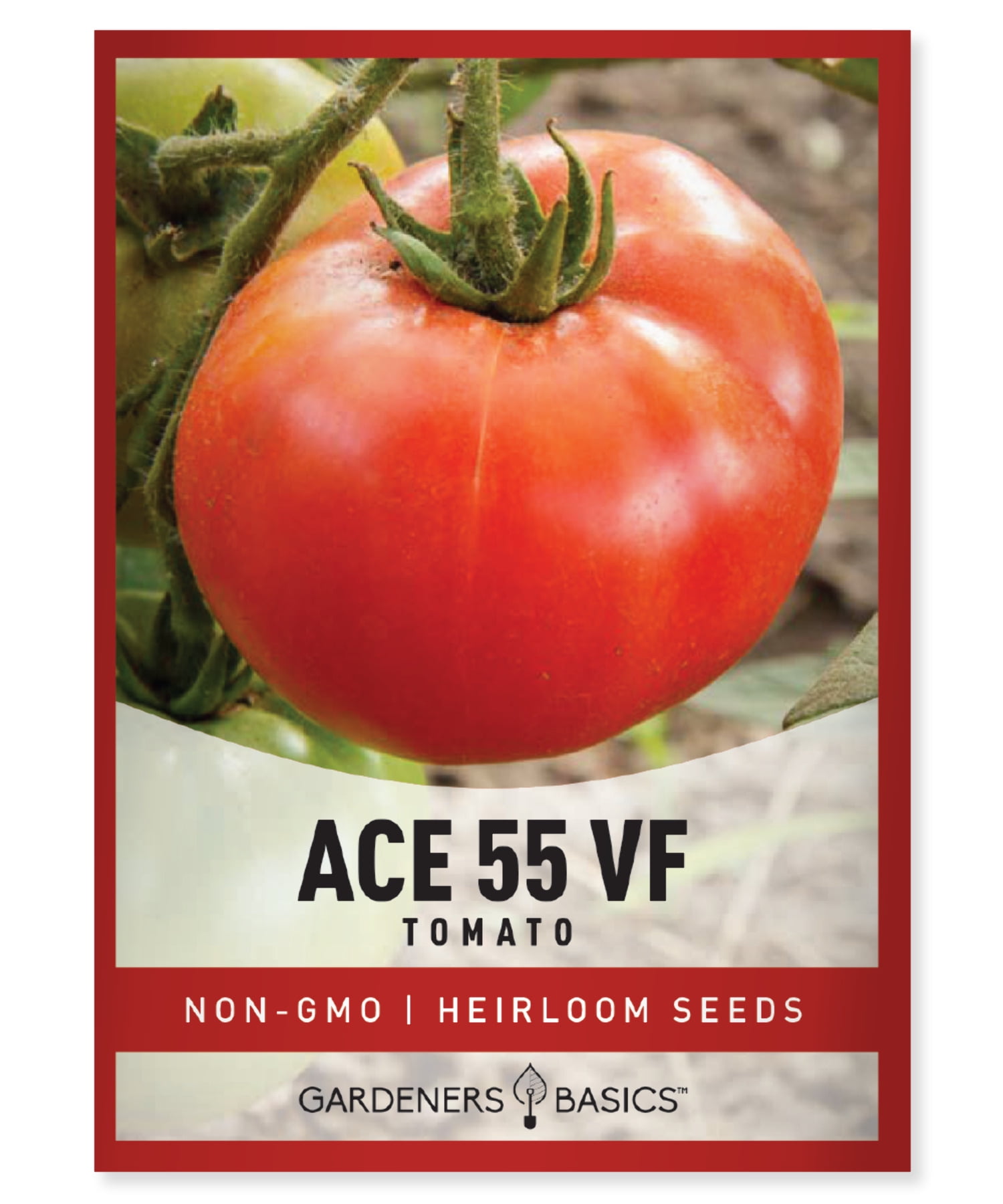 Burpee 'Big Mama' Hybrid | Large Red Paste Tomato | 50 Seeds