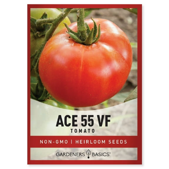 Ace 55 VF Tomato Seeds