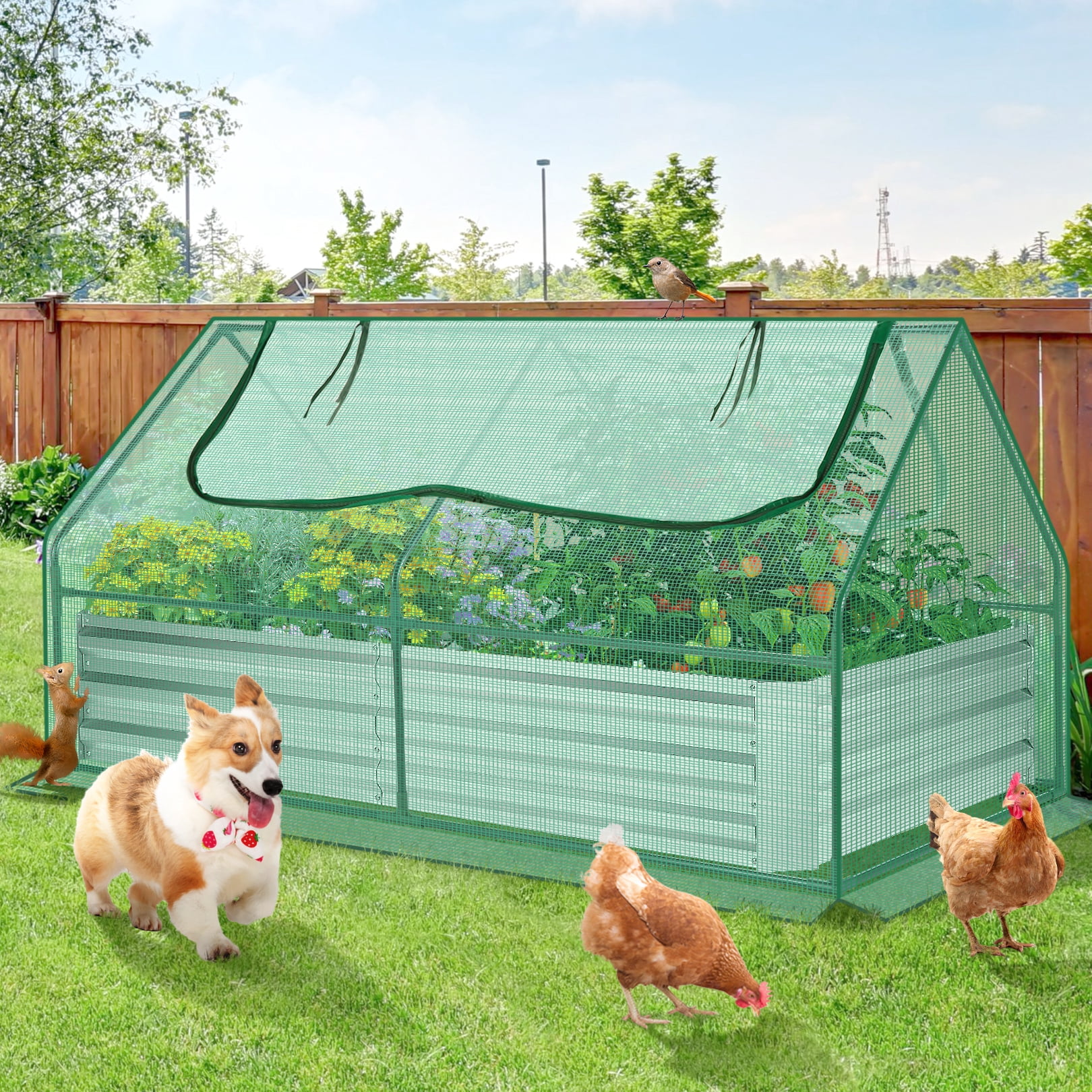 Funcid Galvanized Raised Garden Bed with Cover, Outdoor Metal Planter Box 2 Roll-up Windows Mini Greenhouse for Growing Flowers Fruits Vegetables and Herbs, 6x3x3ft(Green)