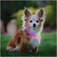 thumbnail image 1 of Nite-Ize 760655 Nitehowl Mini Rechargeable, 1 of 5