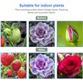 thumbnail image 4 of LED Grow Light Strip for Indoor Plants, Plant Growing Lamps Red Blue Spectrum for Seed Starting with Remote Control, 36W, 180 LEDs, Auto On / Off Timer, 10 Dimmable Levels, 4 Pack (Full Spectrum), 4 of 7