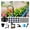 65 FT, variant on ​ ​ Drip Irrigation Kit Automatic Watering System for Potted Plants, 360 Degree Adjustable Copper Micro Sprinklers, Quick Connect Tubing Fittings for Garden, Lawn, Patio, Balcony