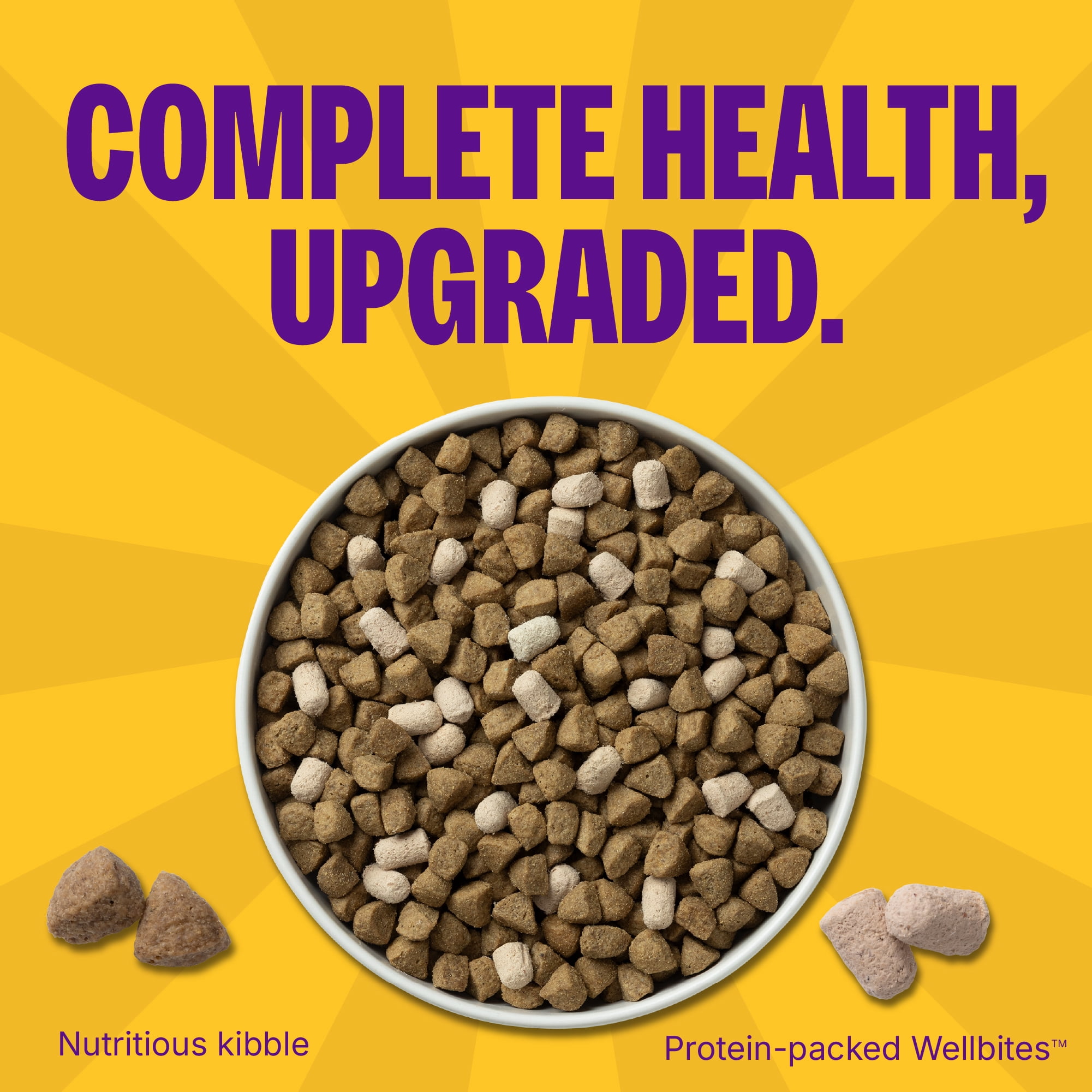 Wellness Complete Health+ Adult Dry Dog Food with Freeze Dried Wellbites, Wholesome Grain Kibble+, Natural, Chicken and Oatmeal Recipe, 20 lb Bag